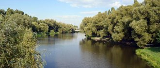 белгород, река, парк