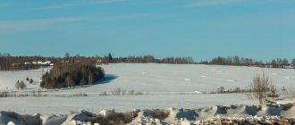 Village, Kostroma region