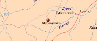 Map of the surrounding area of ​​the city of Muravlenko from NaKarte.RU